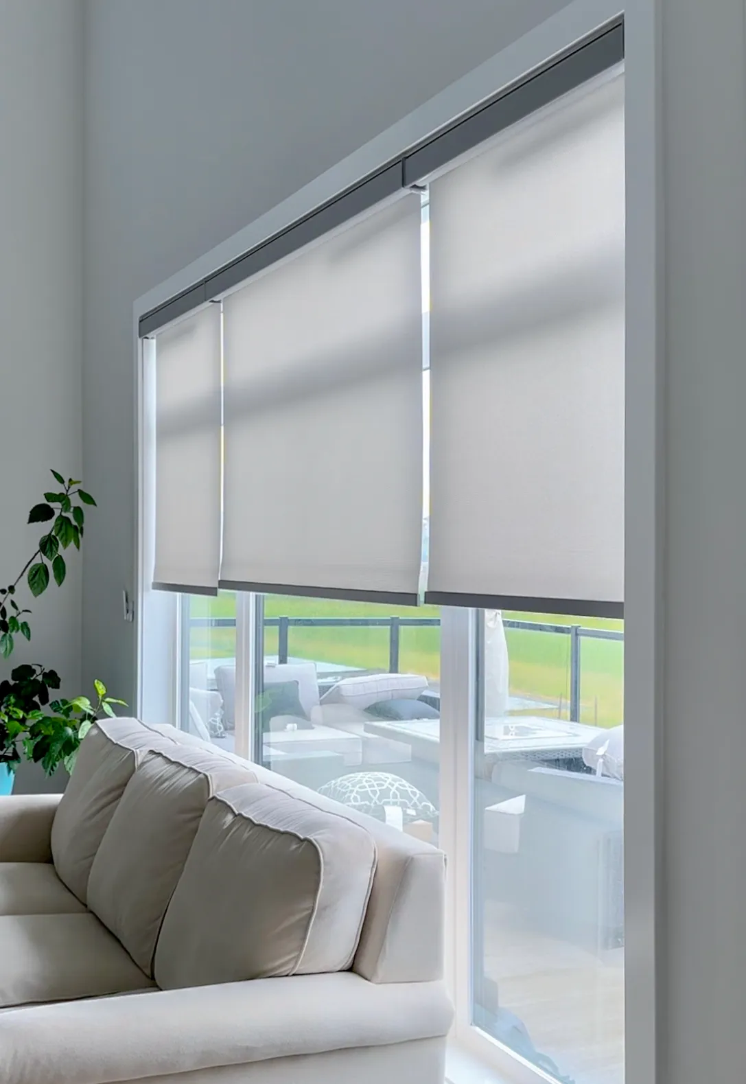 Roller Blinds