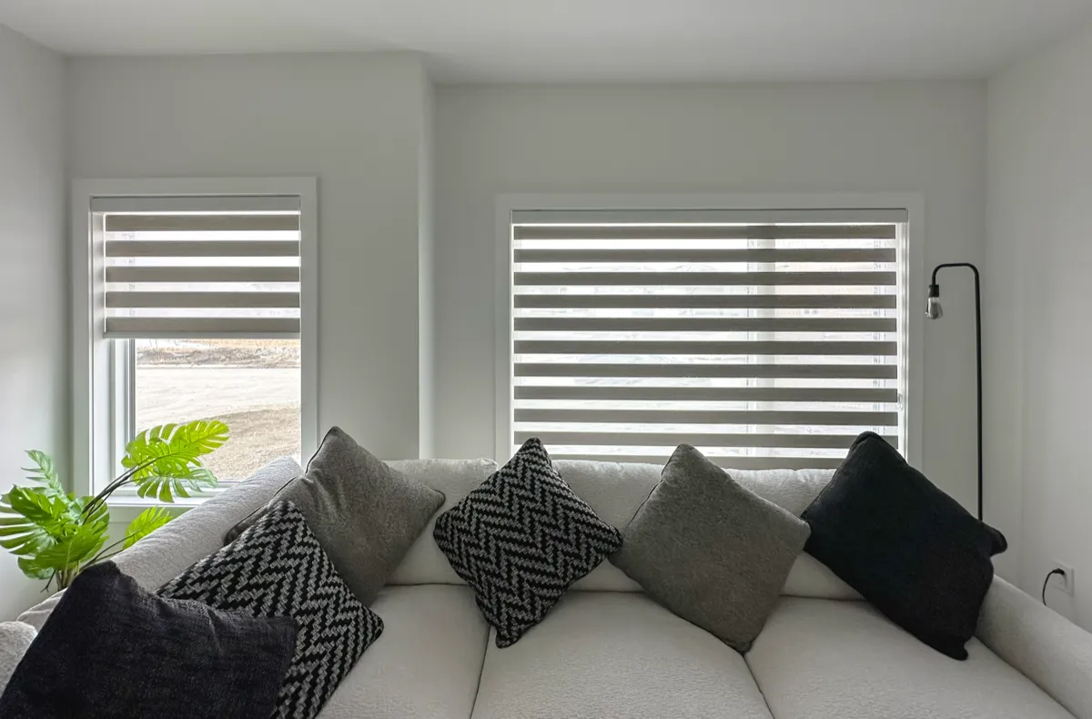 Zebra Blinds